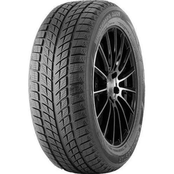 DoubleStar DW09 245/45 R18 96T FR